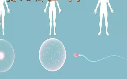 子宫内膜增生后不一定要切除