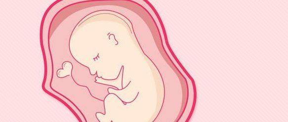 徐州三代试管筛选胚胎要多长时间？