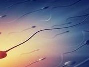 试管婴儿冷冻胚胎的条件是什么？试管婴儿冷冻胚胎影响胚胎质量吗？