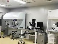 做二特需多久后可以移植囊胚？