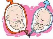 江苏省人民医院试管婴儿多少钱？费用明细公布！