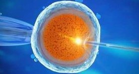 试管子做试管婴儿费用明细，试管做试管成功的案例