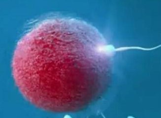 做了结扎手术可以在益阳市试管医院做试管婴儿吗？费用是多少