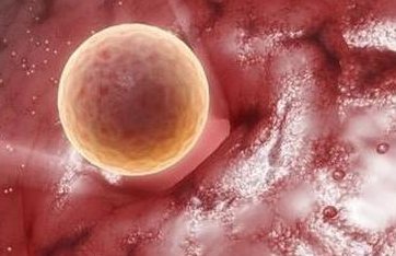 合肥：最新排名三代试管婴儿比较好的医院！科普医院前五名排名